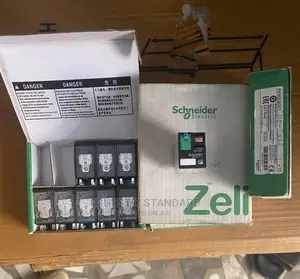 Schneider Relay