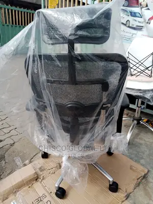 Office Chairs (Orthopedic)
