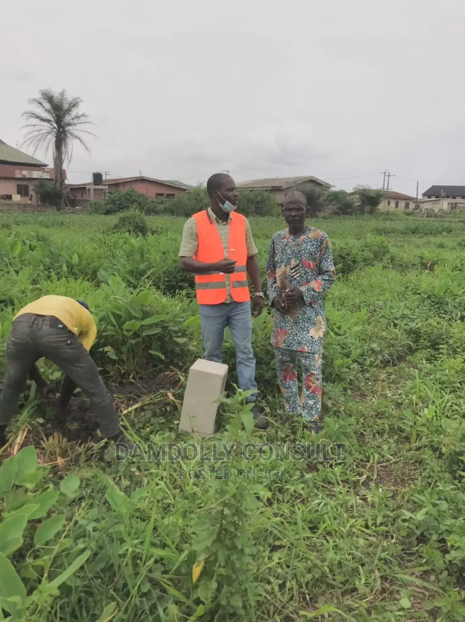 Surveyor Engineer