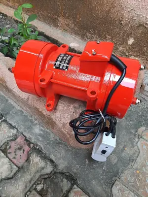Vibrator Motor