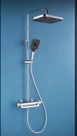 Thermostatic Shower