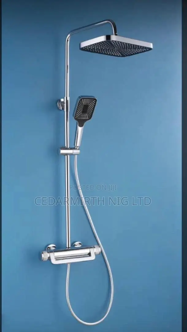 Thermostatic Shower