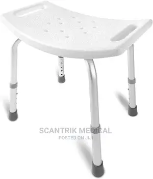 Bathroom Safety Shower Tub Bench Chair, Gray