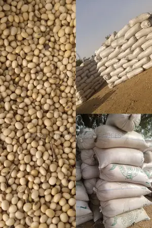 Maize. In Tonnes