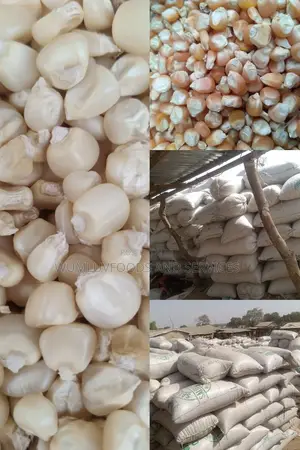 Maize. In Tonnes
