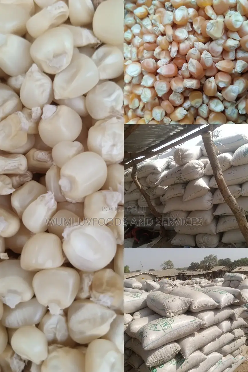 Maize. In Tonnes