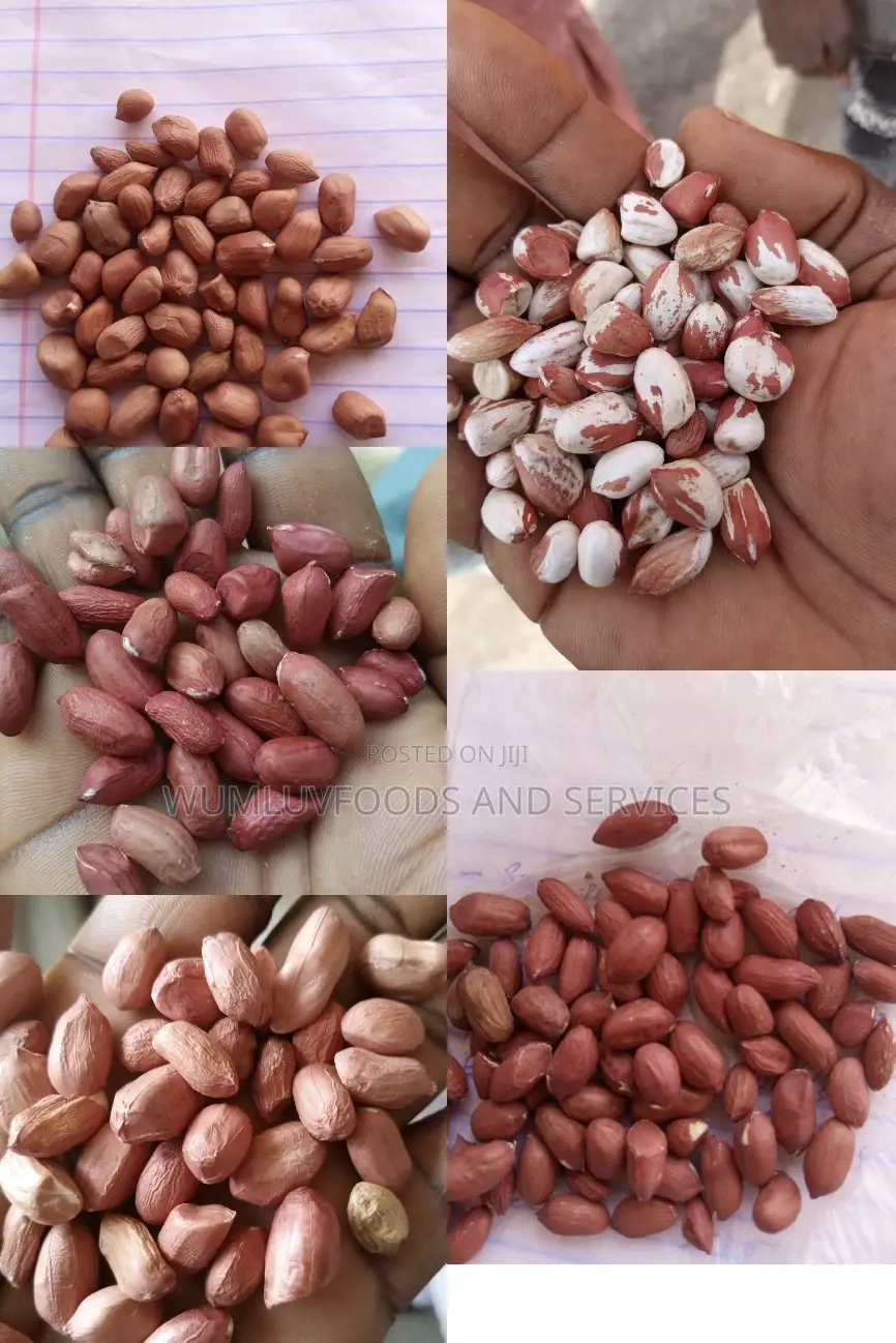 Maize. In Tonnes