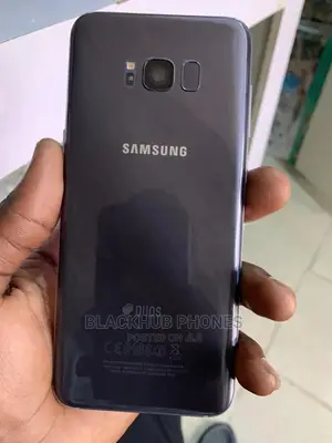 Samsung Galaxy S8 Plus 64 GB Gray
