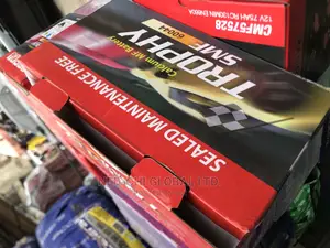 Original Quality Battery Trophy 12volt 100ahs for Generator