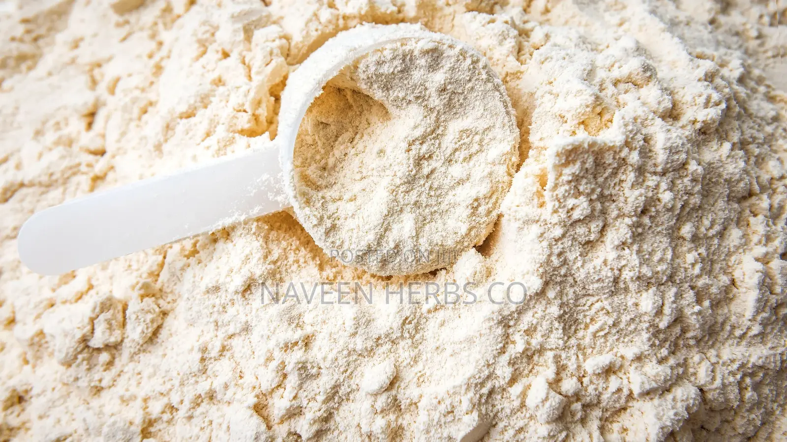 Whey Protein Powder - 50g