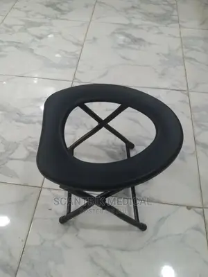 Lightweight Portable Potty for Adult Camping Toilet Seat