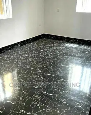 House Cleaning Services Professional