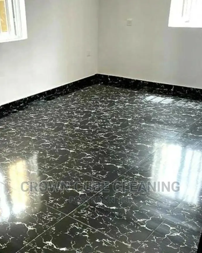 House Cleaning Services Professional