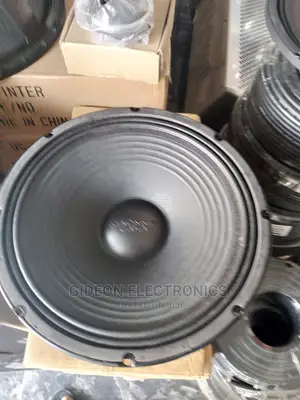 2500watts Mackie 15" Speaker.