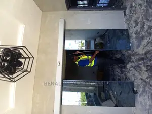 Very Quality Entrance Automatic Sensor Door in Ibadan