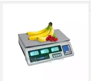 Digital Camry Scale 30kg