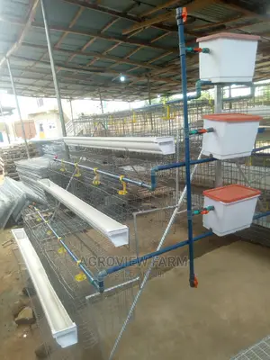 Imperial Battery Cage