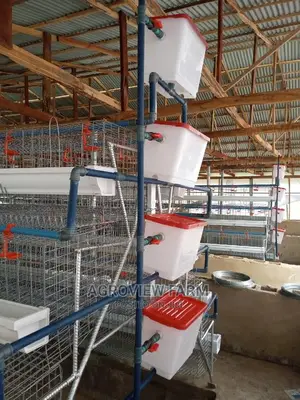 Layers Battery Cage