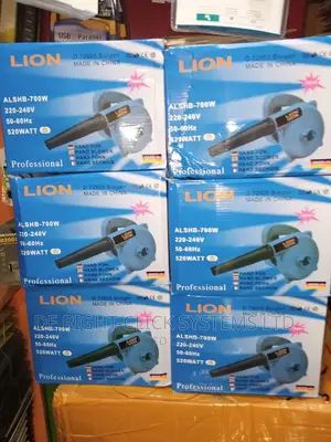 Lion Electric Air Blower