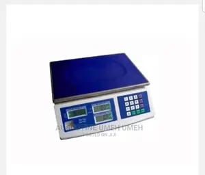 CAMRY Kitchen Scale