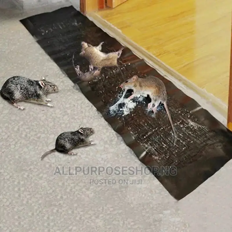 Rat Gum Trap
