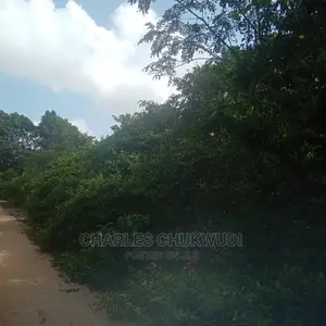 350 Acres for Sale at Ibeju Lekki Lagos