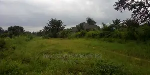 Hectres of Land at Eleme
