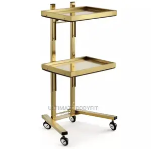 Brand New Portable Gold Fordable Two Tray Trolley