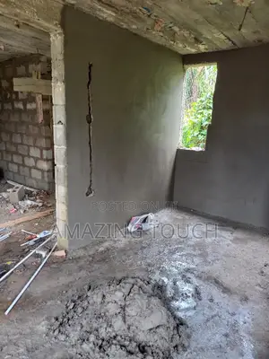 Professional House Builder and Bricklayer Work