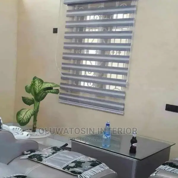 Day and Night Window Blinds