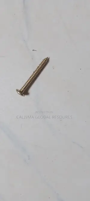 Tapping Screw