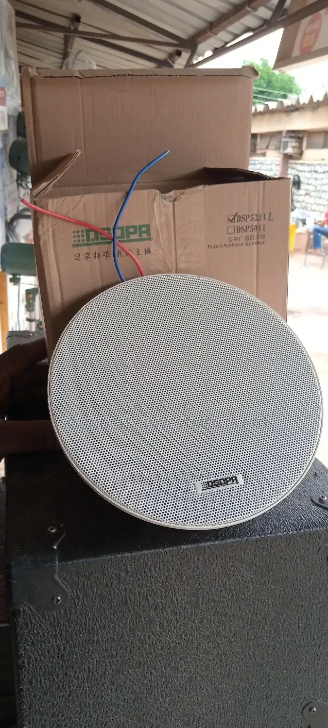 20watts Dsppa Ceiling Speaker