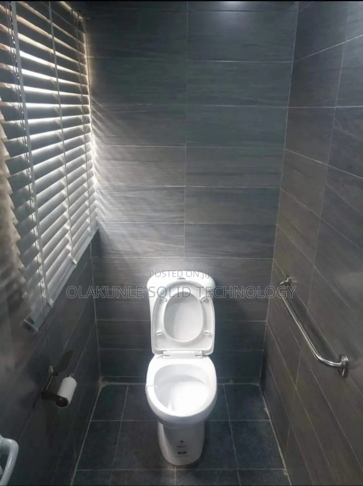 Professional Plumber