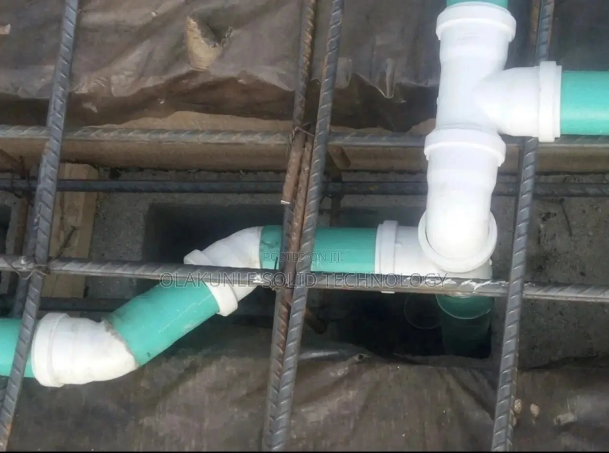 Professional Plumber