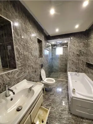 Professional Plumber