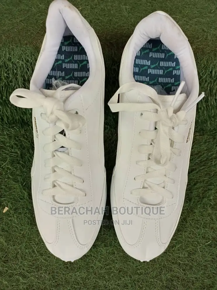 Men PUMA Canvass