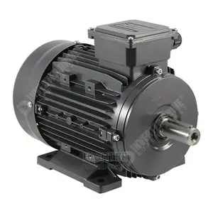 Electric Motor