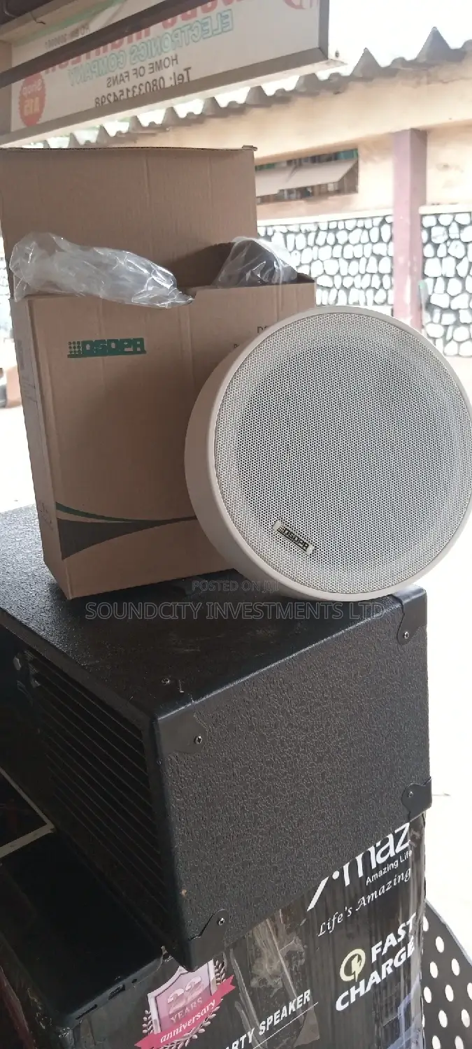 DSPPA Suspended Ceiling Speaker