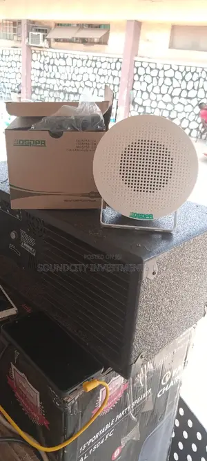100 Volts Hanging Ceiling Speaker