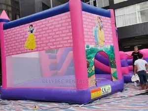 Princess Themed Combo Bouncy Castle