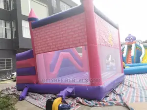 Princess Themed Combo Bouncy Castle