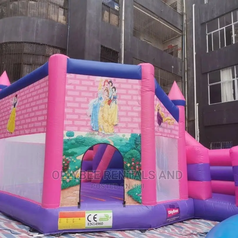 Princess Themed Combo Bouncy Castle