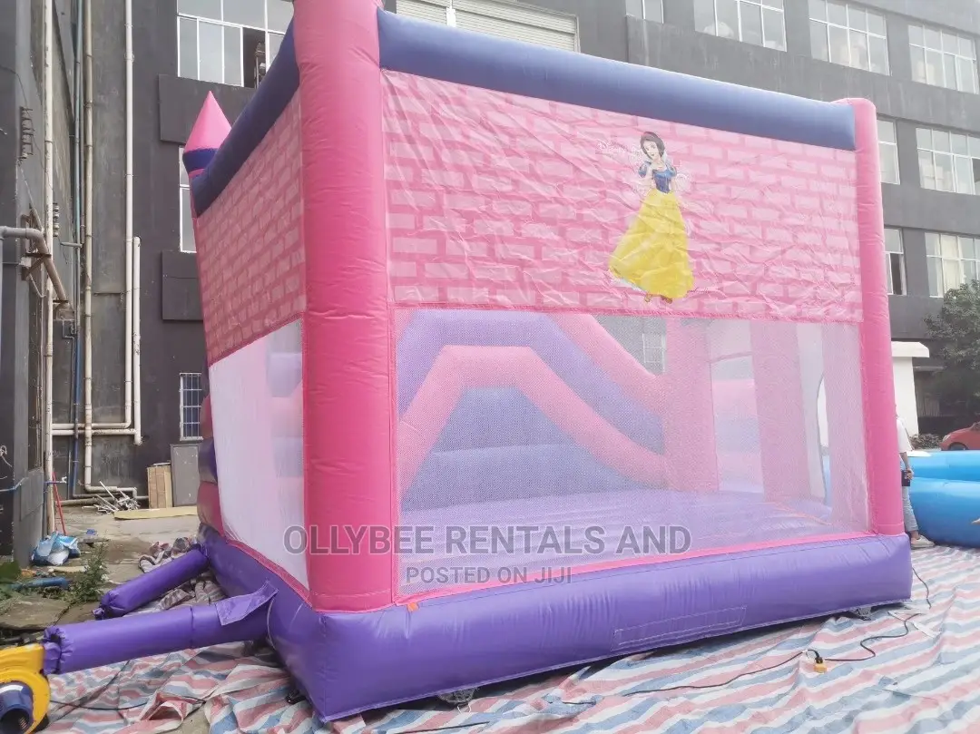 Princess Themed Combo Bouncy Castle