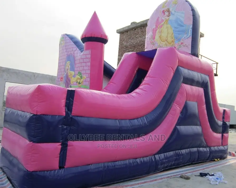 Princess Themed Combo Bouncy Castle