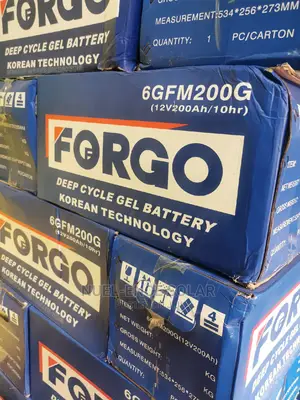 12v 200ah Forgo Battery