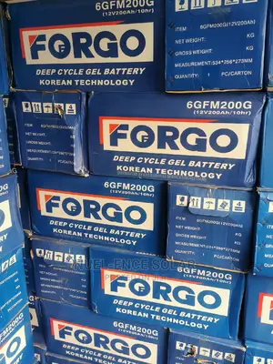 12v 200ah Forgo Battery