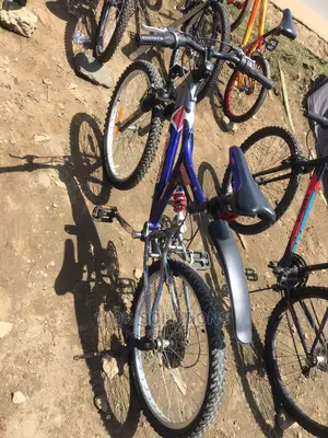 1st Grade Best German Sport Bicycle for Sale. Best Wheel