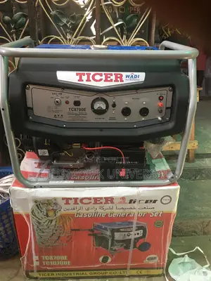 Quality TICER GENERATOR ,Model:TC8700E,9kva/17hp