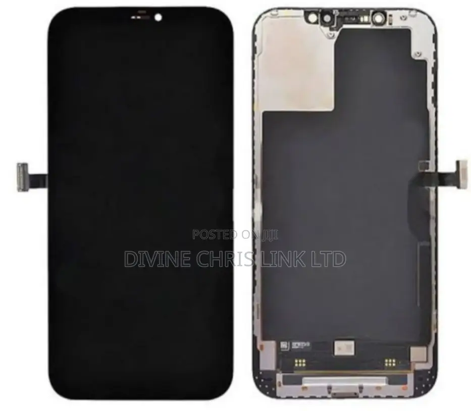 iPhone 12 Pro Max Screen