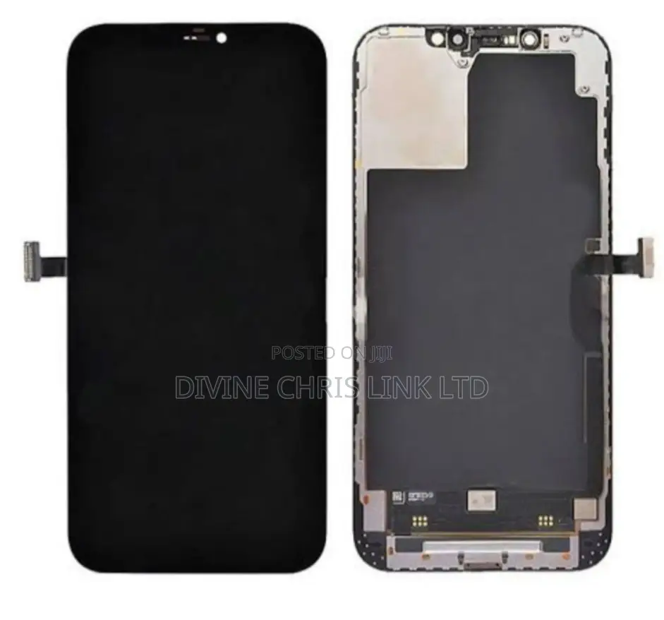 iPhone 12 Pro Max Screen